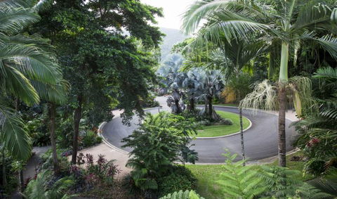 Oasis At Palm Cove - New Castle Holiday 7