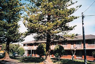 Eastern Beach Holiday Units - New Castle Holiday 0