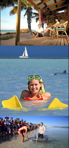 Monkey Mia Dolphin Resort - New Castle Holiday 0