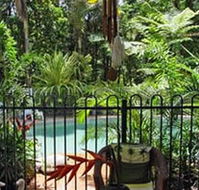 Daintree Rainforest Retreat Motel - New Castle Holiday