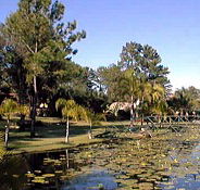 Twin Lakes Hotel - New Castle Holiday