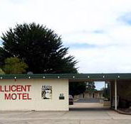 Millicent Motel - New Castle Holiday