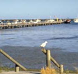 Seaview Motel and Holiday Units - New Castle Holiday