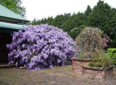 Heronswood House - New Castle Holiday 2