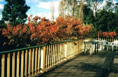 Heronswood House - New Castle Holiday 5