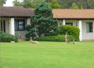 The Oaks Ranch & Country Club - New Castle Holiday 1