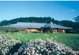 Jaspers Brush B And B - New Castle Holiday 2