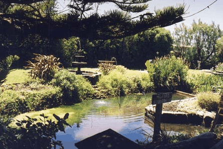 Bayside Gardens - New Castle Holiday 0