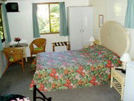 Kuranda Rainforest Accommodation Park - New Castle Holiday 2