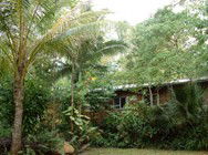 Kuranda Rainforest Accommodation Park - New Castle Holiday 3