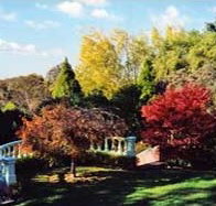 Edgelinks Bed And Breakfast - New Castle Holiday