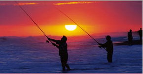 Lakes Jakaranda Holiday Units - New Castle Holiday 0