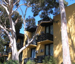 Pathfinder Motel - New Castle Holiday 1