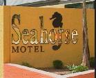 Seahorse Motel - New Castle Holiday 1