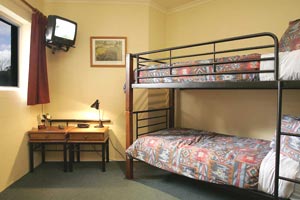 Summit Ridge Alpine Lodge - New Castle Holiday 2