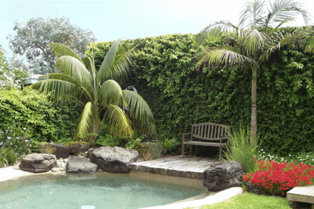 The Tropicana Motor Inn - New Castle Holiday 2