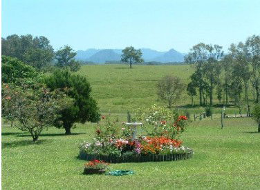 Tallowood Ridge Farmstay B - New Castle Holiday 3