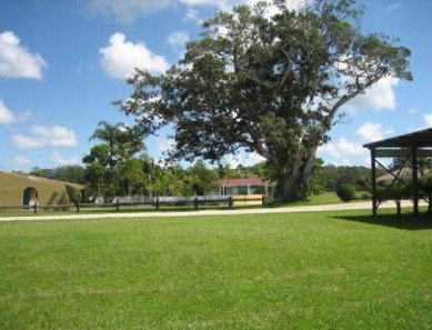 The Nambucca Motel - New Castle Holiday 5