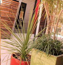 Adelphi Apartments - New Castle Holiday 1