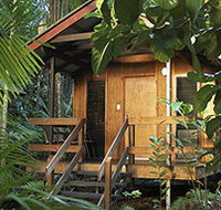 Cape Trib Beach House - New Castle Holiday