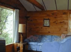 The Pines Resort - New Castle Holiday