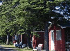 The Pines Resort - New Castle Holiday 3