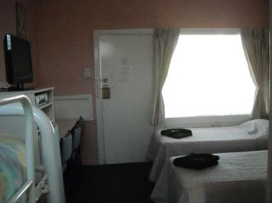 The Tree Motel - New Castle Holiday 2