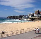 Biltmore On Bondi Backpackers - New Castle Holiday