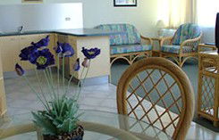 Mylos Holiday Apartments - New Castle Holiday 1