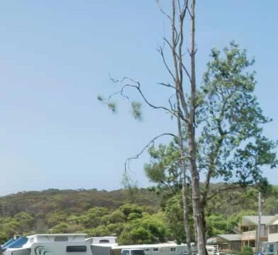 Merry Beach Caravan Park - New Castle Holiday 2