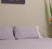 Stingo Hotel - New Castle Holiday