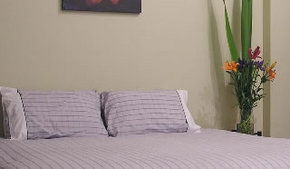 Stingo Hotel - New Castle Holiday 0