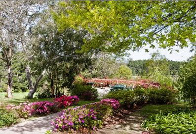 Bilpin Resort - New Castle Holiday 2