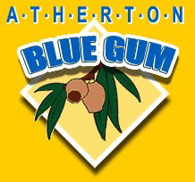Atherton Blue Gum - New Castle Holiday 1