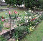 Kintail Homestay - New Castle Holiday