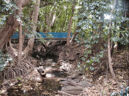 Rainforest Grove Holiday Resort - New Castle Holiday 3