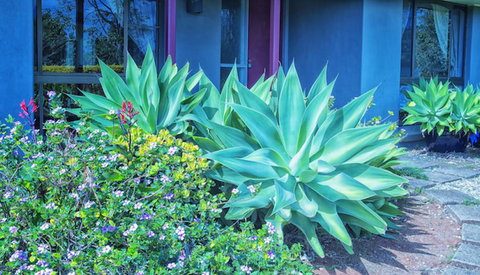 Possum Creek Lodge - New Castle Holiday 2