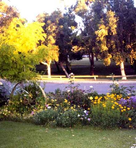 Parkside Bed And Breakfast - New Castle Holiday 1