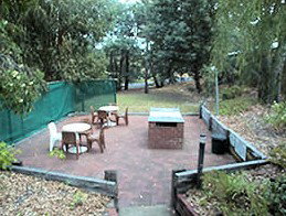 Collie Forest Motel - New Castle Holiday 4