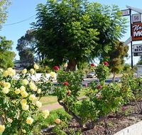 Narrogin Motel - New Castle Holiday