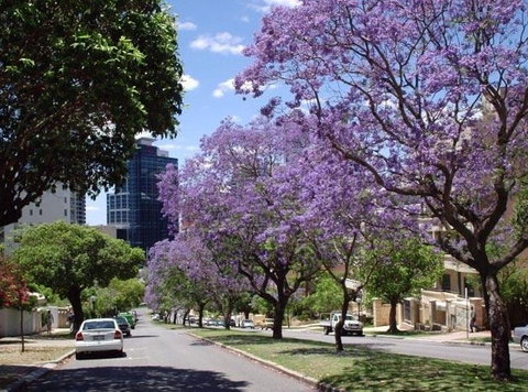 Mountway Holiday Apartments - New Castle Holiday 3