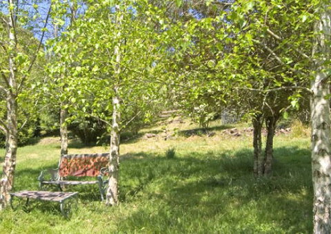 Tomah Mountain Lodge - New Castle Holiday 2