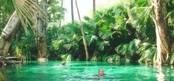 Mataranka Homestead Motel - New Castle Holiday 1