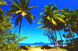 Mission Beach Rainforest Motel - New Castle Holiday 1