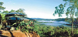 Daintree Cloud 9 - New Castle Holiday 1