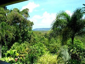 Daintree Manor - New Castle Holiday 3