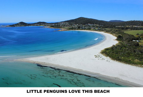 Diamond Island Resort - New Castle Holiday 5