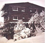 Elk at Falls - New Castle Holiday