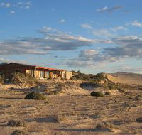 Tiliqua Sunrise - New Castle Holiday