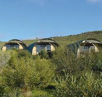 Saunders Gorge Sanctuary - Lodges - New Castle Holiday